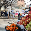 Aurora / Barriera: Progettiamo Largo Palermo e i Giardini Alimonda