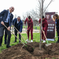 29 nuovi alberi in piazza d’Armi e via Filadelfia grazie a Suzuki e Torino FC