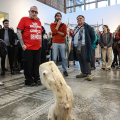 “In between places you can find me” al PAV con l’Accademia Albertina