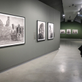 Alle Gallerie d’Italia Torino la mostra “Nick Brandt. The Day May Break. La luce alla fine del giorno”