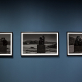 Alle Gallerie d’Italia Torino la mostra “Nick Brandt. The Day May Break. La luce alla fine del giorno”