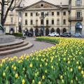 Piazza Solferino, Fontana Angelica