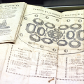 Torino a tavola: documenti e immagini dall’Archivio storico