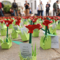 “Mille Papaveri Rossi”: al Polo del ’900 un prato di memoria condivisa per il 25 aprile
