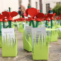 “Mille Papaveri Rossi”: al Polo del ’900 un prato di memoria condivisa per il 25 aprile