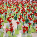 “Mille Papaveri Rossi”: al Polo del ’900 un prato di memoria condivisa per il 25 aprile