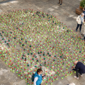 “Mille Papaveri Rossi”: al Polo del ’900 un prato di memoria condivisa per il 25 aprile