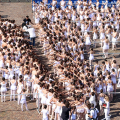 Duemila ballerini in piazza San Carlo per il Ballo in Bianco di Roberto Bolle