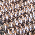 Duemila ballerini in piazza San Carlo per il Ballo in Bianco di Roberto Bolle