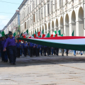 0805_sfil_alv_5209
