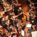 L'Orchestra Sinfonica Nazionale della Rai diretta dal maestro Riccardo Bisatti durante il concerto dedicato ai festeggiamenti di San Giovanni.