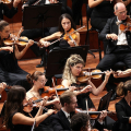 MITO SettembreMusica 2026, Torino inaugura “Harmonia” con il War Requiem
