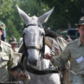 0805_sfil_pla_684