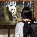 World Press Photo torna a Torino per il decimo anno consecutivo