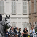 Fanfara a cavallo