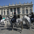 Fanfara a cavallo