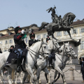 2205_cavalsfilata_6836