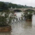 Guardando il ponte Re Umberto I