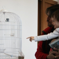 Eduard Kac, Essay Concerning Human Understanding - Installazione: canarino, filodendro, gabbia, apparati tecnologici