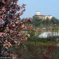 Monte dei Cappuccini - dsc00901