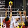 Finale maschile: Umbria - Veneto