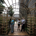 Il giardino del principe