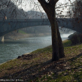Ponte Mosca