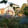 Ortopolitano Nizza