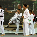 Taekwondo