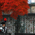 Un momento del corteo all\'interno del Cimitero Monumentale