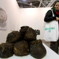 0311_artissima_1488