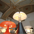 0411_meet_1919