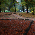 0811_autunno_2521