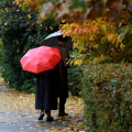 0811_autunno_2544