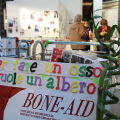 Working Capital – Premio Nazionale Innovazione 2011