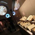 Raccogliere libri per coltivare idee di una capitale di età moderna