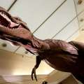 Tirannosaurus rex