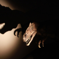 Dinosauri. Sono tornati!
