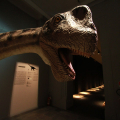 Apatosauro