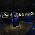Fondazione Accorsi, Sala cinese