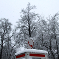 Parco della Tesoriera