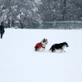 Parco della Tesoriera