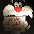 Date una casa al gatto
