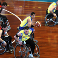 HB Torino - Falcon Moscow