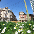 2103_primavera_2268