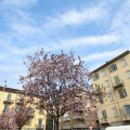 2103_primavera_2302