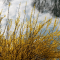 2103_primavera_2309
