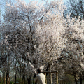 2103_primavera_2318