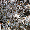 2103_primavera_2321