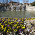 2103_primavera_2337